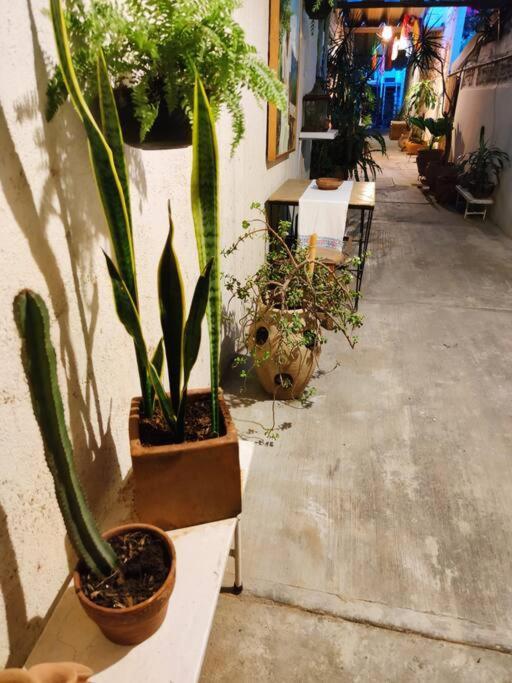 The Azul Flat Room オアハカ州 エクステリア 写真