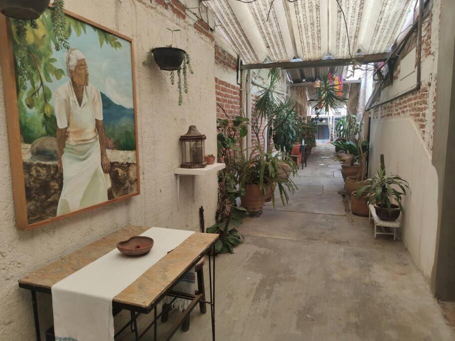 The Azul Flat Room オアハカ州 エクステリア 写真